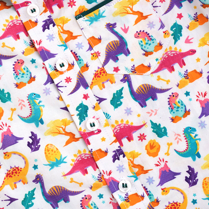 Colorful Dino and Aqua Pant - Pant Shirt Set