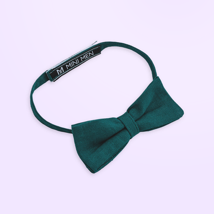 Colorful Dino and Aqua Pant - Pant Shirt Set