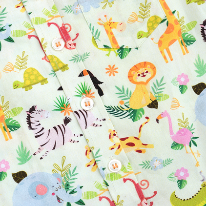 Wild Party and Rust Pant - Pant Shirt Set