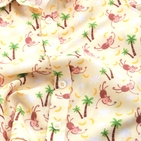 Naughty Monkey and Green Shorts - Shorts Shirt Set